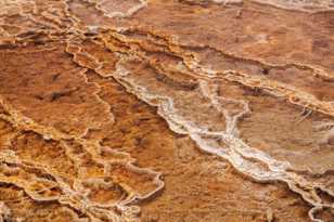 Mammoth Hot Springs-7706.jpg